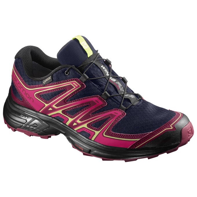 Chaussures De Trail Running Salomon Femme Rose / Bleu Marine - Salomon WINGS FLYTE 2 GTX® W - France